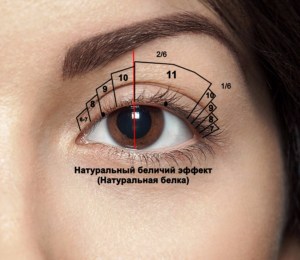 Беличий эффект наращивания Схема Натуральная белка